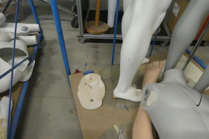 Bild