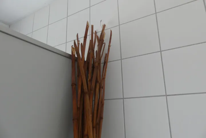 Thumbnail Bild'