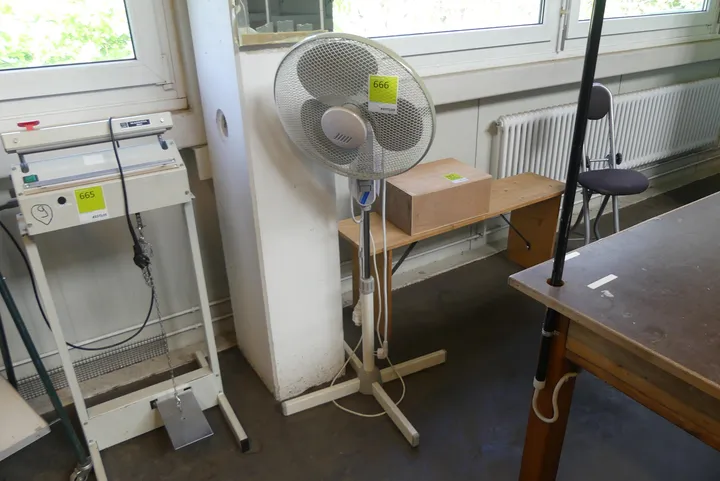 Bild