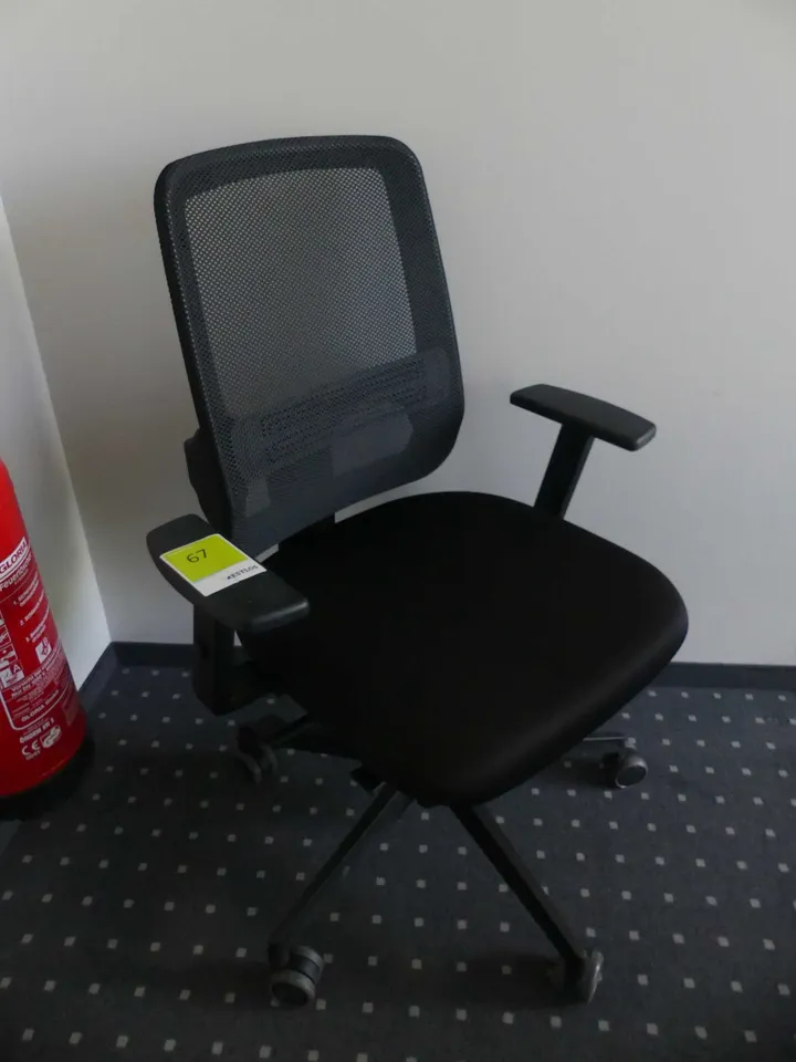 Thumbnail Bild'
