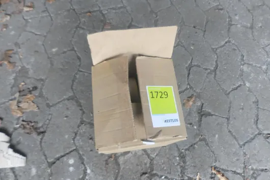 Bild von Los Nr. 1729