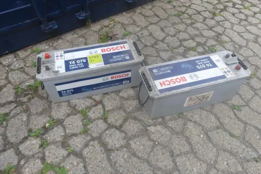 Bild von Los Nr. 1733