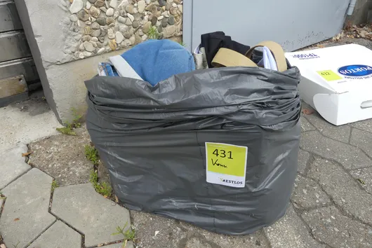 Bild von Los Nr. 431