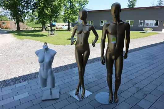 Bild von Los Nr. 142