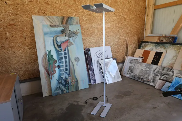 Bild