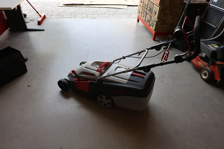 Bild