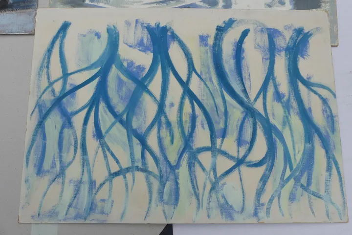 Bild