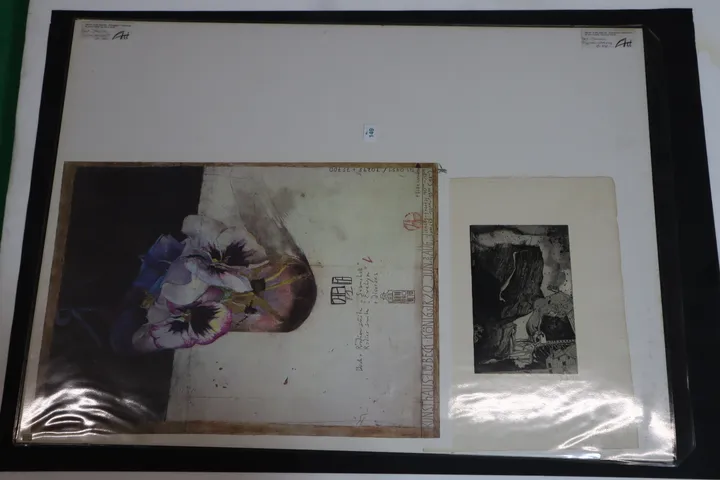 Bild
