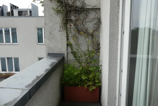 Bild von Los Nr. 120