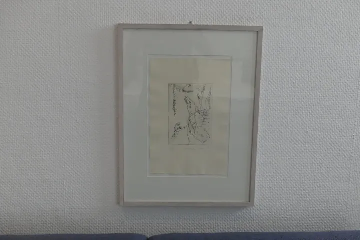 Bild