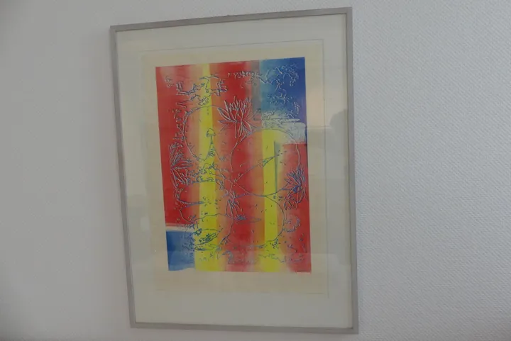 Bild