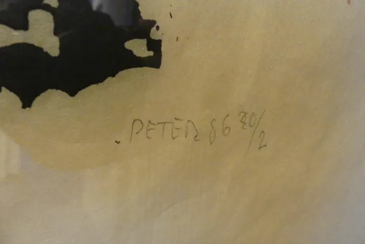 Thumbnail Bild'