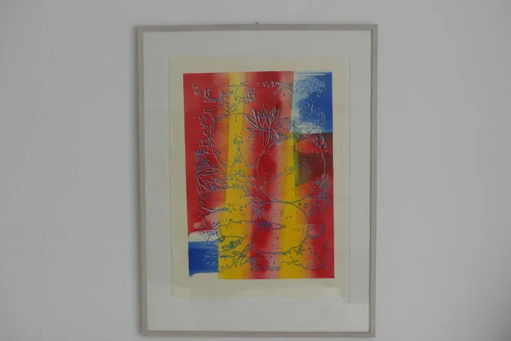 Bild