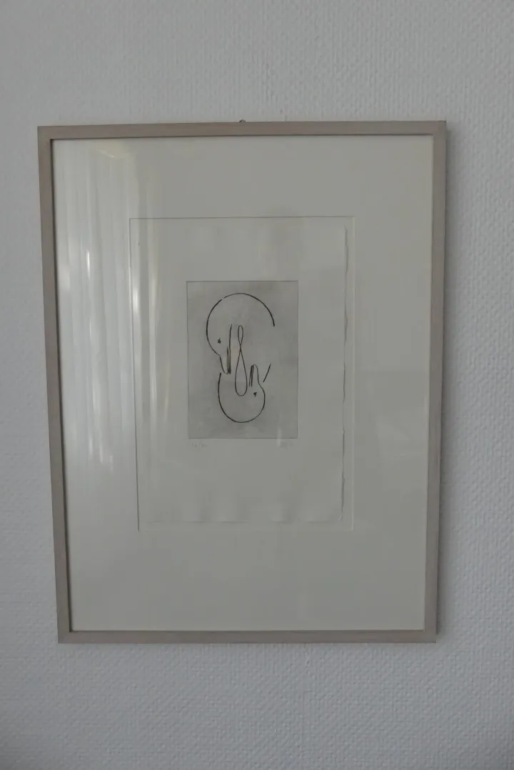 Bild