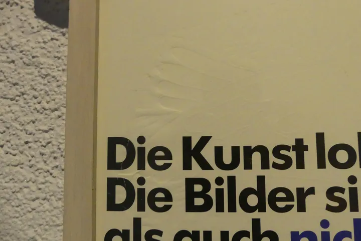 Bild