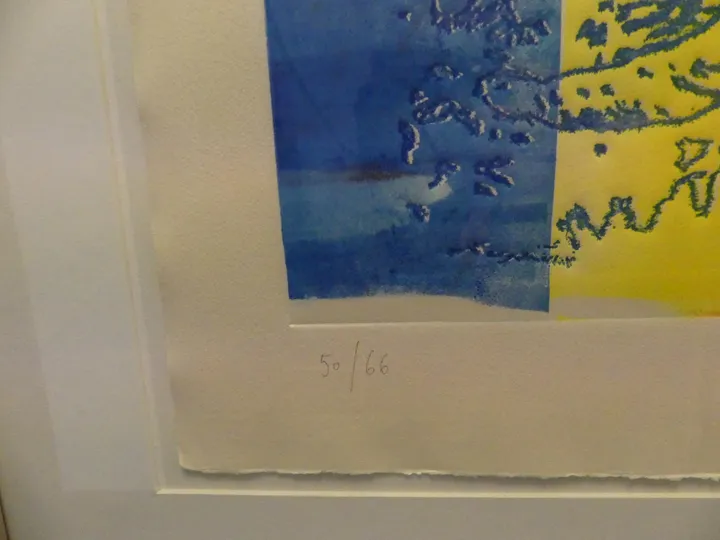 Bild