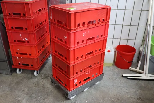 Bild von Los Nr. 135