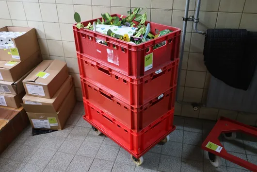 Bild von Los Nr. 186