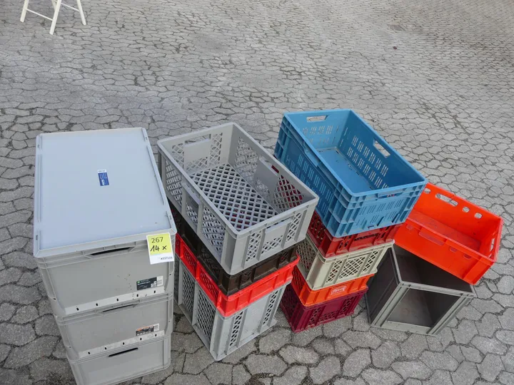Bild
