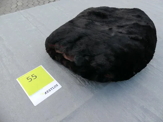 Bild von Los Nr. 55