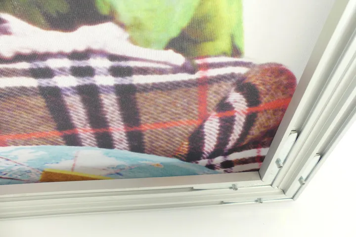Bild