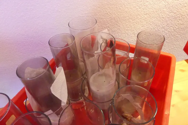 Bild