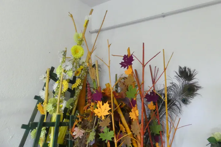 Bild