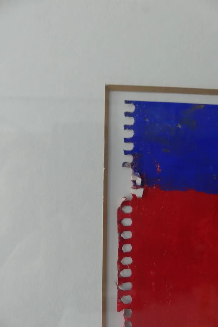 Bild