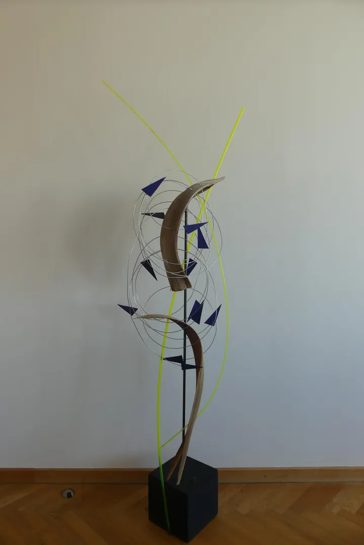 Bild