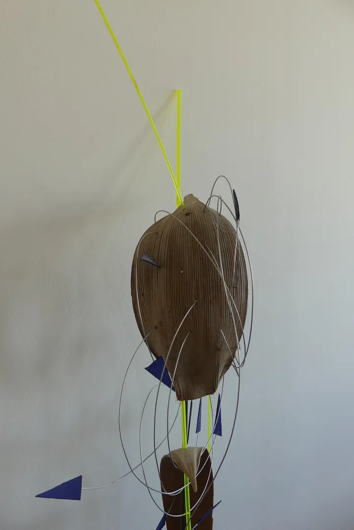 Bild