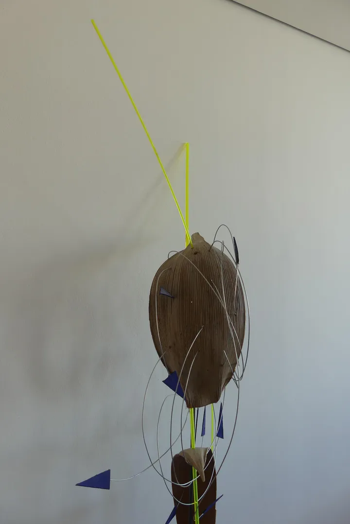 Bild
