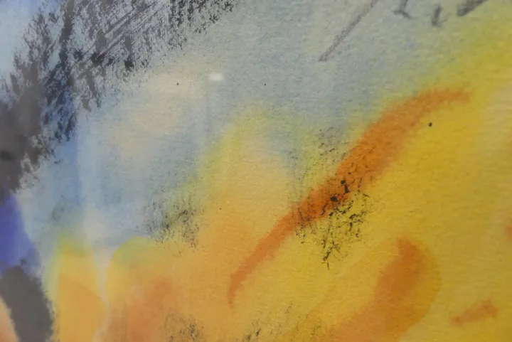 Bild
