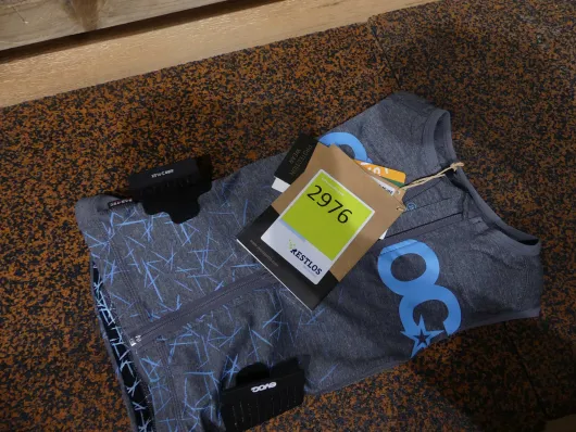 Bild von Los Nr. 2976