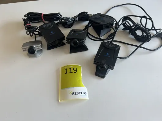 Bild von Los Nr. 119