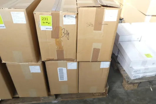 Bild von Los Nr. 231