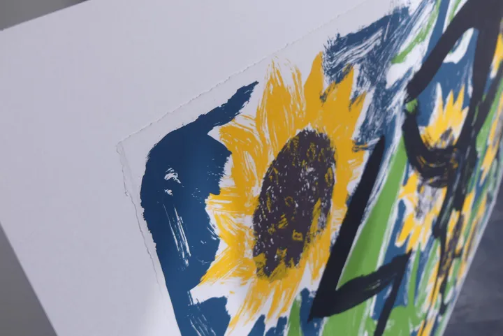 Bild