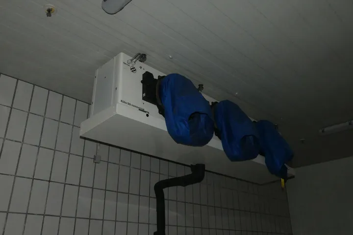 Thumbnail Bild'