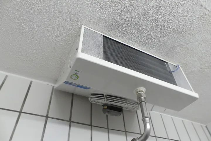 Thumbnail Bild'
