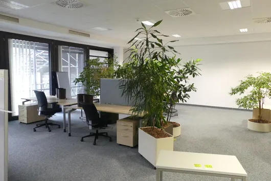 Bild von Los Nr. 423