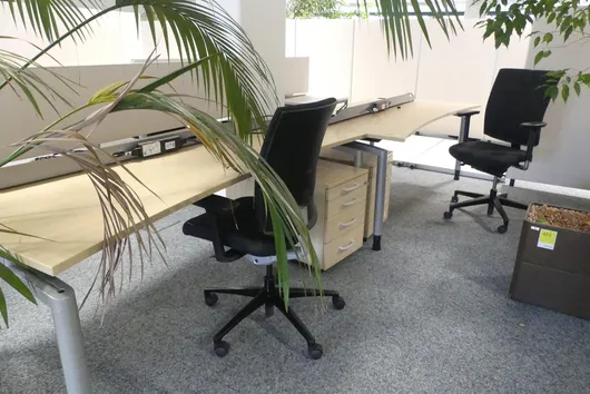 Bild von Los Nr. 431