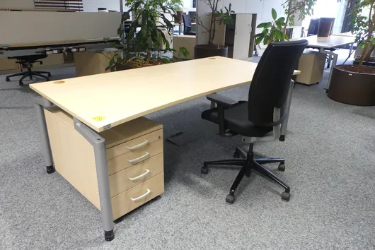 Bild von Los Nr. 459