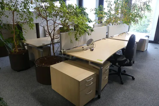 Bild von Los Nr. 515