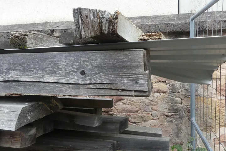 Thumbnail Bild'