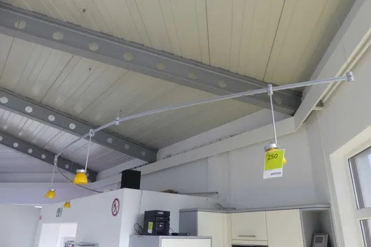 Bild von Los Nr. 250