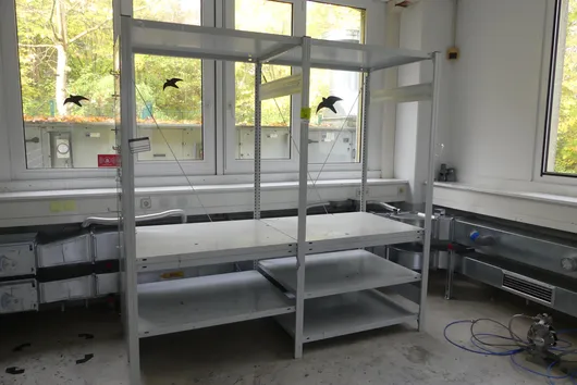 Bild von Los Nr. 812