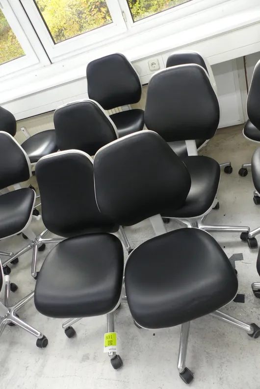 Bild von Los Nr. 831