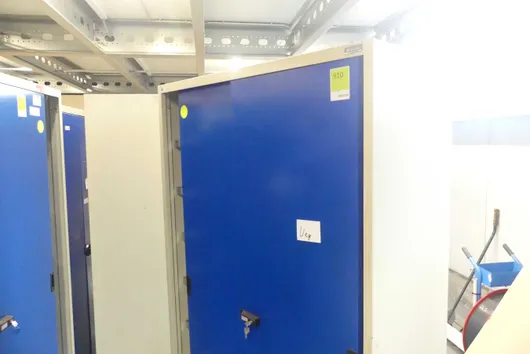 Bild von Los Nr. 910