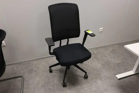 Bild von Los Nr. 250