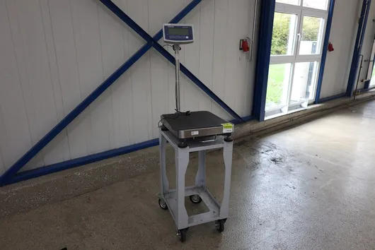 Bild von Los Nr. 258