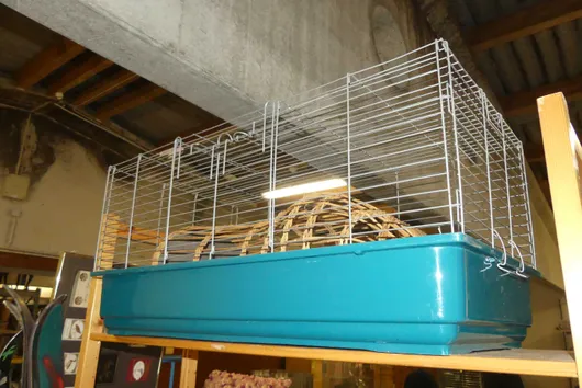 Bild von Los Nr. 1454